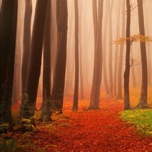 Meet your Posher, Cee